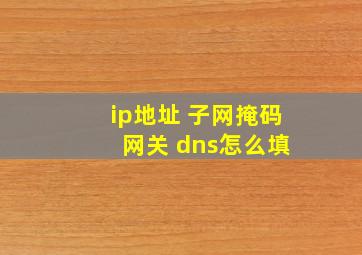 ip地址 子网掩码 网关 dns怎么填